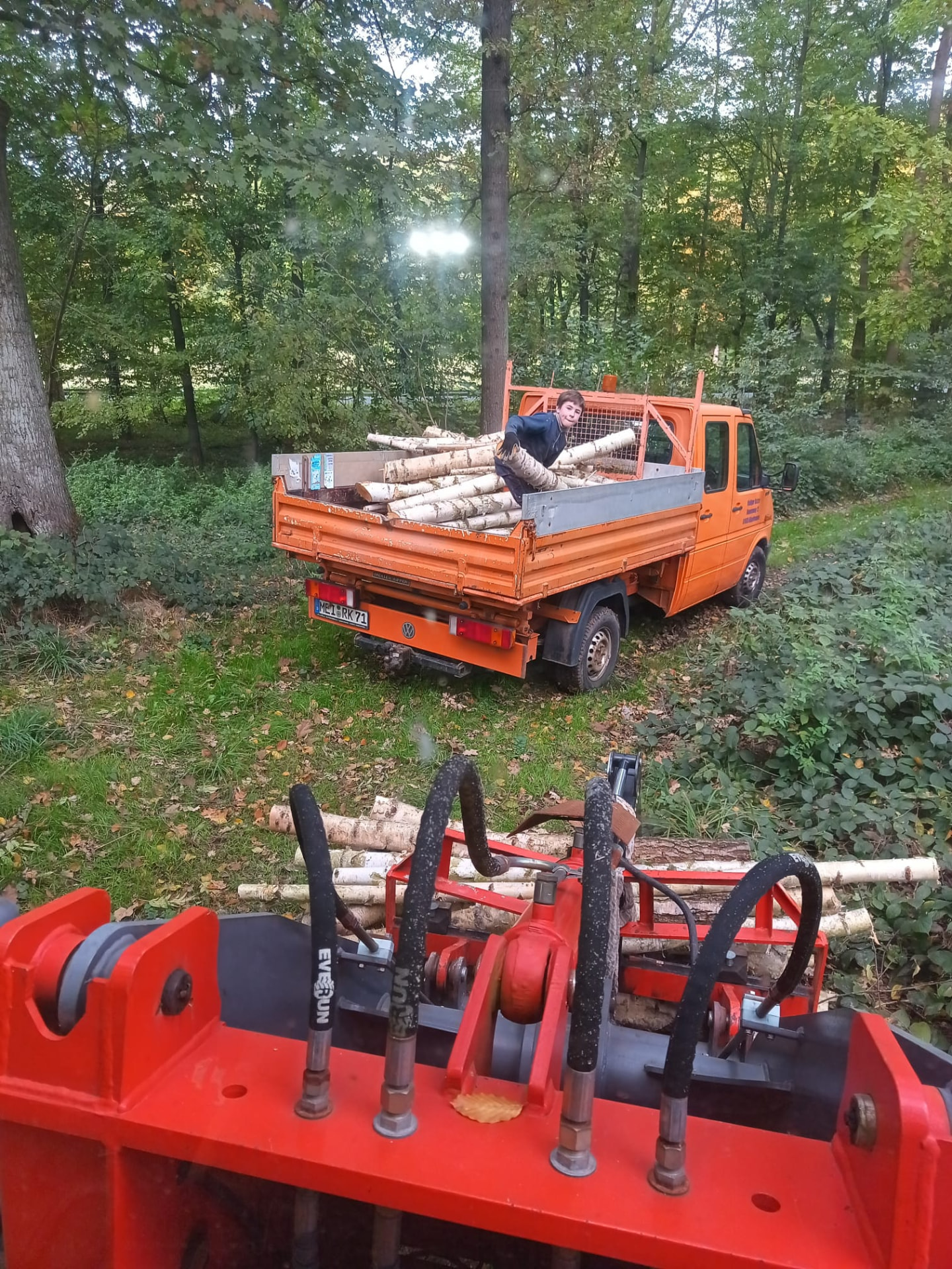 Holztransport bei Forstarbeiten im Wald